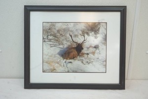 lot 351 image: framed elk print