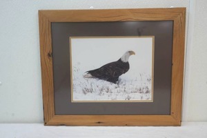 lot 352 image: wood framed and matted eagle print