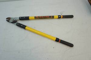 lot 365 image: tree limb lopper