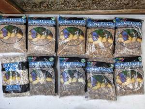 lot 332 image: Spectrastone Premium Aquarium Miscellaneous Colored Gravel -  10 - 5 lb  bags