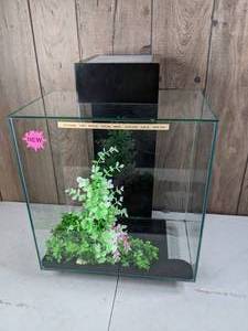 lot 162 image: Fluval Edge Glass Aquarium 12 Gallon