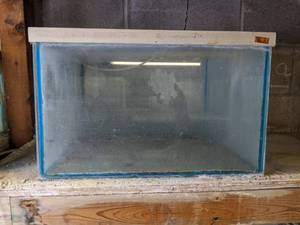 lot 868 image: Pre-Owned Custom 20 x 12 x 18 Display Breeder Tank