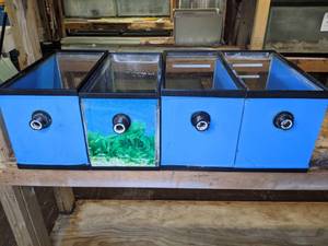 lot 891 image: (4) Pre-Owned 10 Gal. Display Tanks with Drill Systems for Overflow