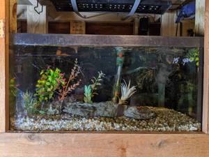 lot 772 image: Pre-Owned Display and Parts 15 Gal. Tank, Light, Gravel, Power Heads, Plants, Rocks and More