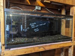 lot 733 image: Pre-Owned Display and Parts 55 Gal. Tank, Light, Gravel, Power Heads, Plants, Rocks and More
