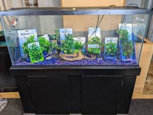 lot 974 image: NEW 55-Gallon Long Tank with Stand and Accessories (Plant Scapes and more)