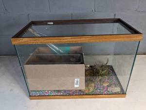 lot 962 image: Used 20 Gallon Tank with Contents (Gravel, Water Clarifier, and more)