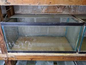 lot 848 image: Pre-Owned 40 Gal. Display Breeder Tank