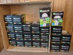 lot 1158 image: (24) MaxLite Bulbs 8W & 7W LED