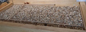 lot 1275 image: Large Amount of Aquarium Rock