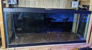 lot 1219 image: Pre-Owned 75-Gallon Aquarium Tank
