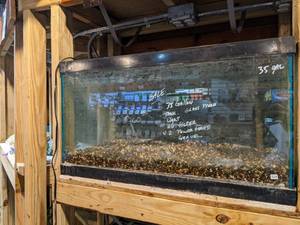 lot 1290 image: Pre-Owned Display and Parts 35 Gal. Tank, Light, Gravel, Power Heads, Plants, Rocks and More