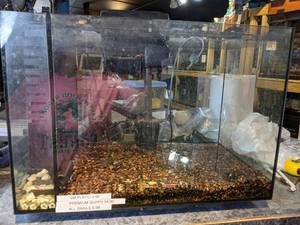 lot 1277 image: Used Tank and Accessories (Filter, Light, and more)