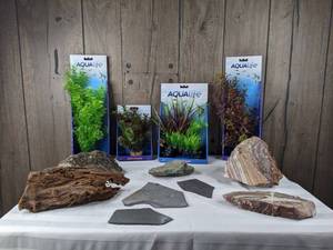 lot 1294 image: Assortment of (4) Plant Scapes and (8) Display Rocks