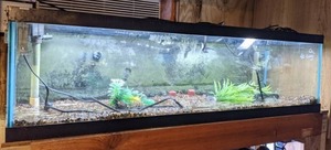 lot 1474 image: Long 40 Gallon Aquarium
