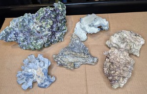 lot 1468 image: Collection of Artificial Coral Decor
