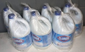 lot 1318 image: Set of (5) Bottles of Clorox Bleach