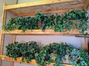 lot 1354 image: Assortment of (10) Artificial Plants and Foliage