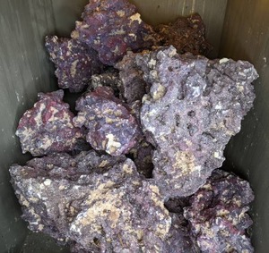 lot 1504 image: Stack of Large, Dark RedPurple Coral-LikeRocks