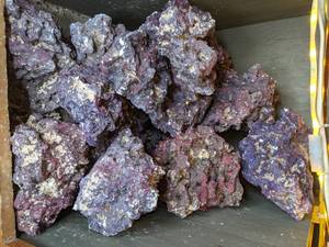 lot 1505 image: Even More Gorgeous Coral-Like Rocks