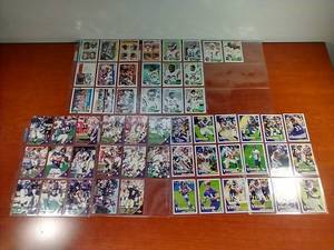 Minnesota Vikings Card Lot