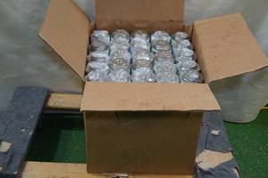 lot 284 image: Tanglefoot Tangle Trap Sticky Coating Cans - Brush Applicator
