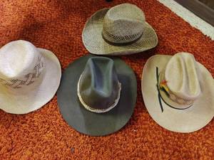lot 83 image: Collection of Cowboy & Straw Hats