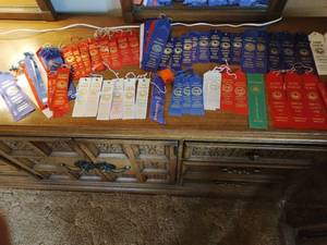 lot 120 image: Collection of Vintage Ribbons