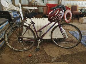 lot 324 image: Schwinn Bike, Helmet, and Riding Gloves