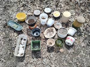 lot 392 image: Collection of Vintage Planters, China, & Film Tins