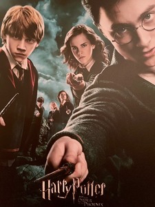 lot 268 image: Wooden Harry Potter Poster