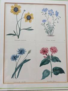 lot 330 image: Framed Antique Hand Colored Steel Engraving by Benjamin Maund