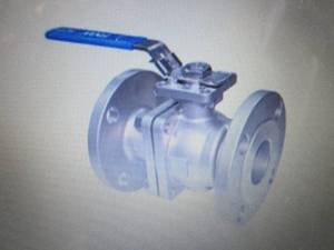 FNW 4 in. Full Port 150 WSP Stainle...