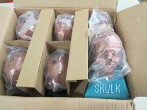case of 6 skulk games ...