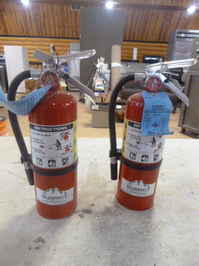 lot 193 image: 2 ABC Fire Extinguishers