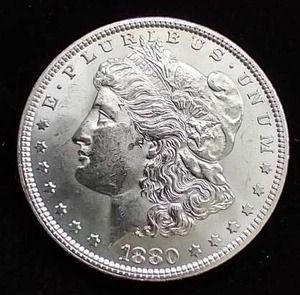1880 Morgan Dollar