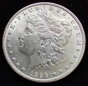 1896 Morgan Dollar