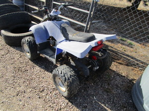 Kids 4 Wheeler