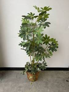 lot 31 image: Artificial Indoor Plant