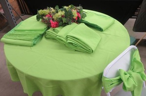 LIME GREEN SET UP