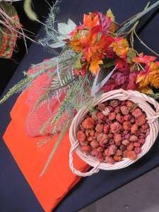 ORANGE LINENS PLUS