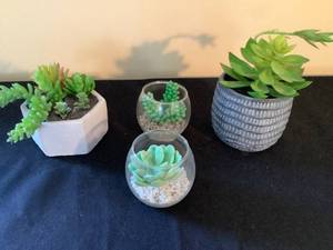 lot 62 image: Artificial Plants