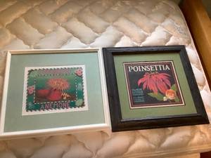 lot 81 image: Poinsette and Anemone Framed