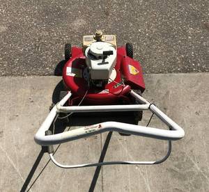 Snapper 2-Cycle 19 Cut Push Lawn Mower