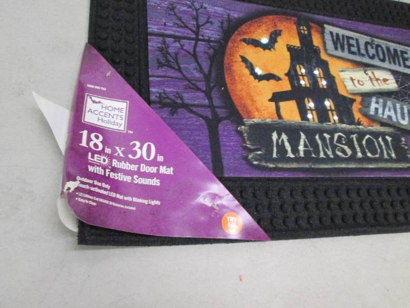lot 80 image: home accents 18 inch x 30 inch LED ...
