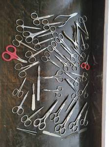 Collection of Vintage Scissors & More