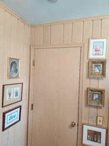 Collection of Art