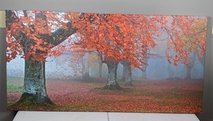 lot 53 image: Big Majestic Autumn Tree Shedding Faded Leaves Wall Art, 52 x 26