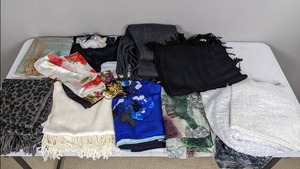 lot 151 image: Assortment of Womens Fashion Scarves