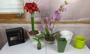 lot 237 image: Assortment of Decorative Cubes, Flowers and Flower Pots